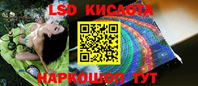 ГАЛЛЮЦИНОГЕННЫЕ ГРИБЫ Чебаркуль