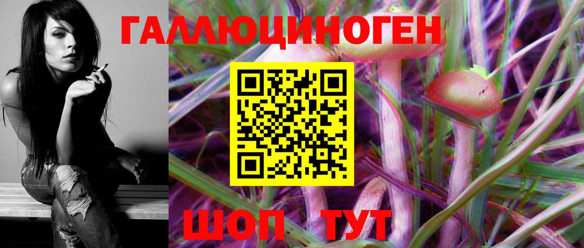 Губаха  Псилоцибиновые грибы GOLDEN TEACHER  Вход с VPN  Галлюциногенные грибы Cubensis 