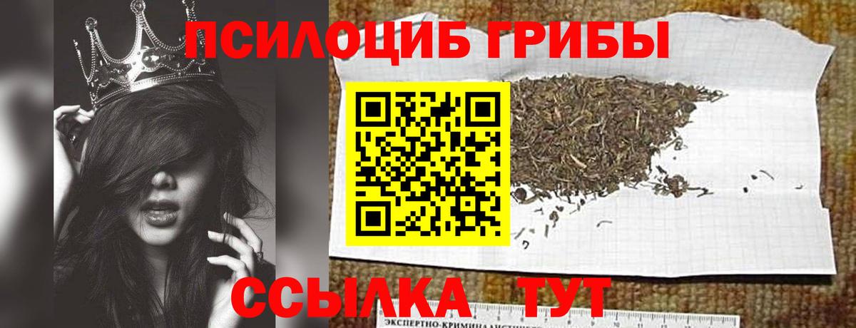 Галлюциногенные грибы мухоморы Губаха