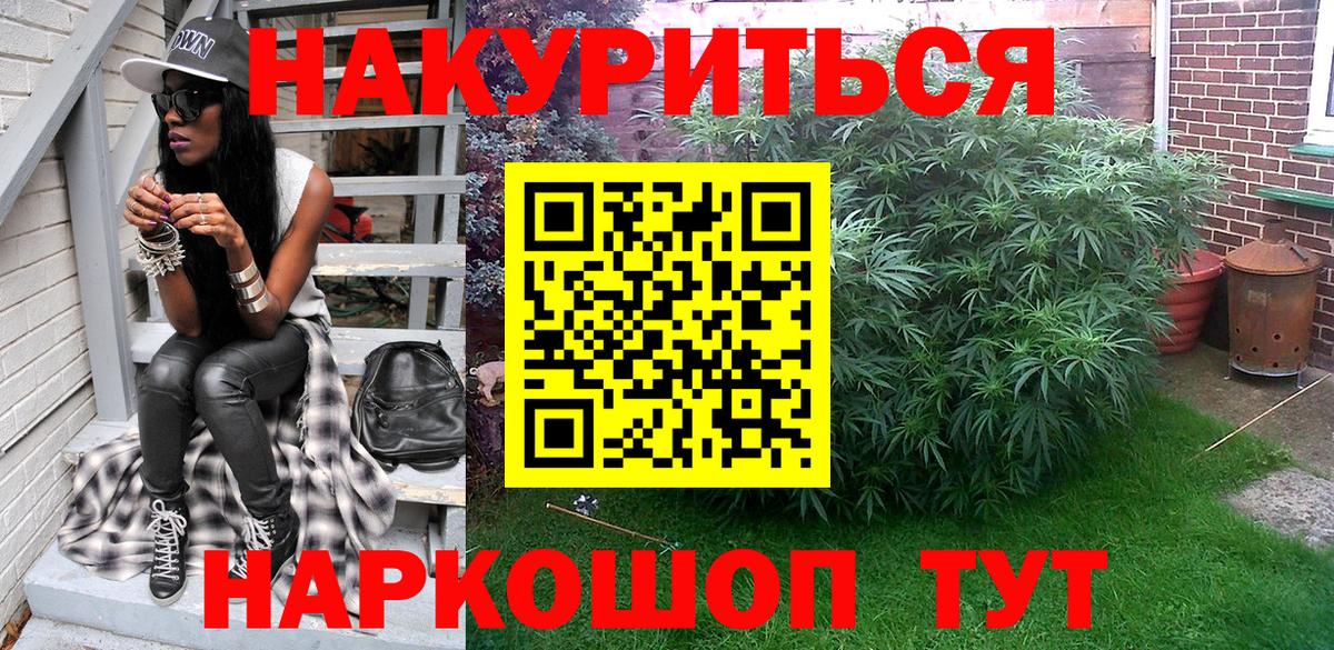Шишки марихуана план Губаха